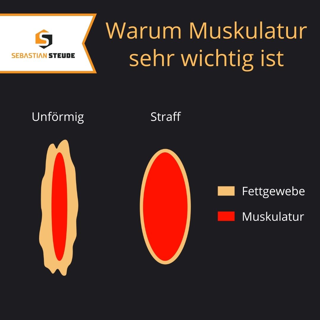 Read more about the article Warum Muskulatur sehr wichtig ist